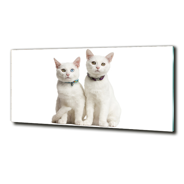 Cuadro de cristal templado moderno horizontal gatos blancos