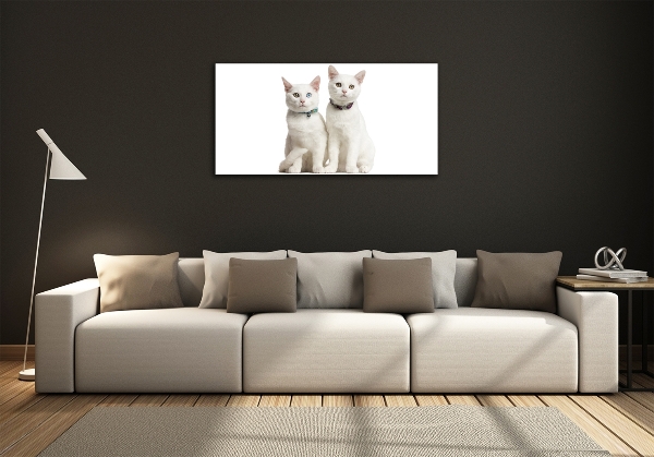 Cuadro de cristal templado moderno horizontal gatos blancos