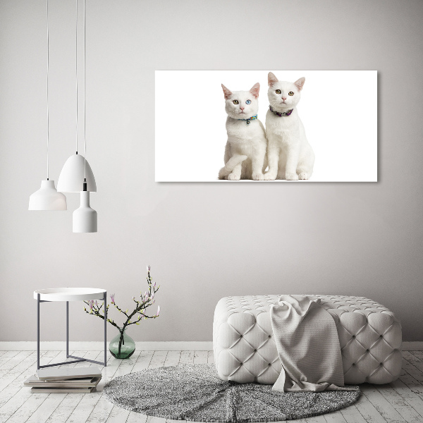 Cuadro de cristal templado moderno horizontal gatos blancos