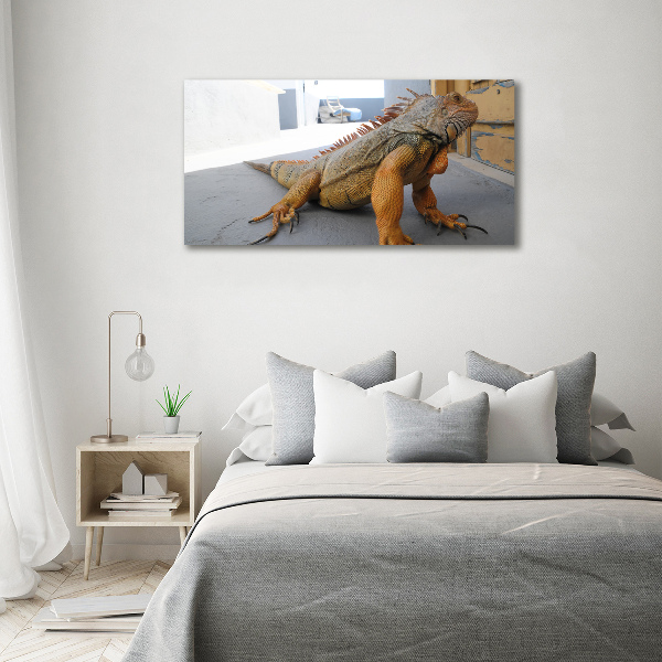 Foto-obraz zdjęcie szkło hartowane Iguana