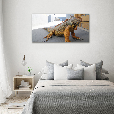 Foto-obraz zdjęcie szkło hartowane Iguana