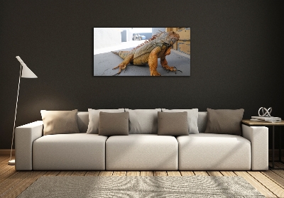 Foto-obraz zdjęcie szkło hartowane Iguana
