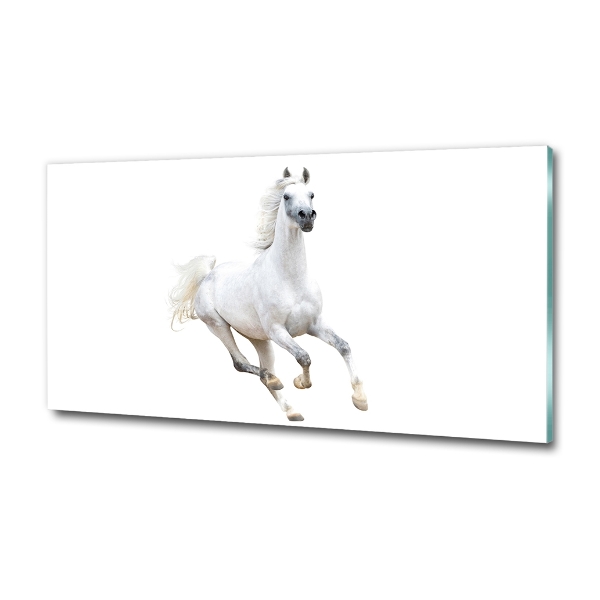 Foto en cristal de alta calidad con impresión uv horizontal Caballo árabe blanco