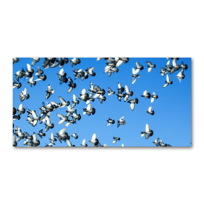 Cuadro de cristal templado moderno horizontal Una bandada de palomas