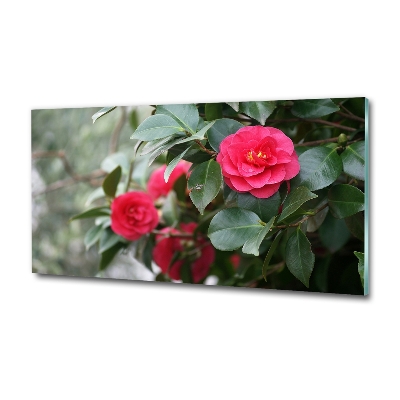 Cuadro de cristal templado moderno horizontal Camelia