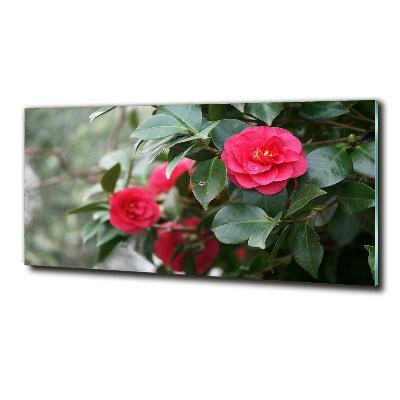 Cuadro de cristal templado moderno horizontal Camelia