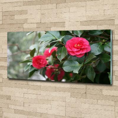 Cuadro de cristal templado moderno horizontal Camelia