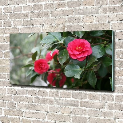 Cuadro de cristal templado moderno horizontal Camelia