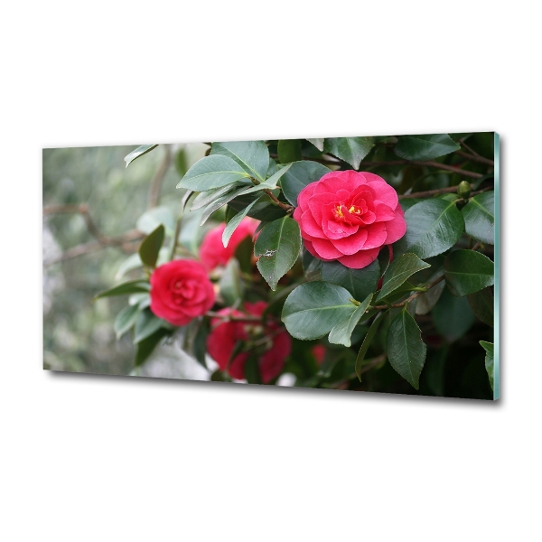 Cuadro de cristal templado moderno horizontal Camelia