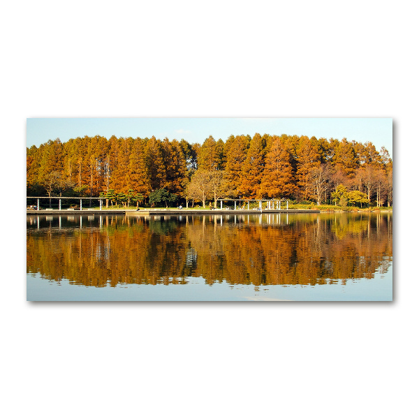 Impresión en cristal con acabado brillante horizontal Bosque junto al lago