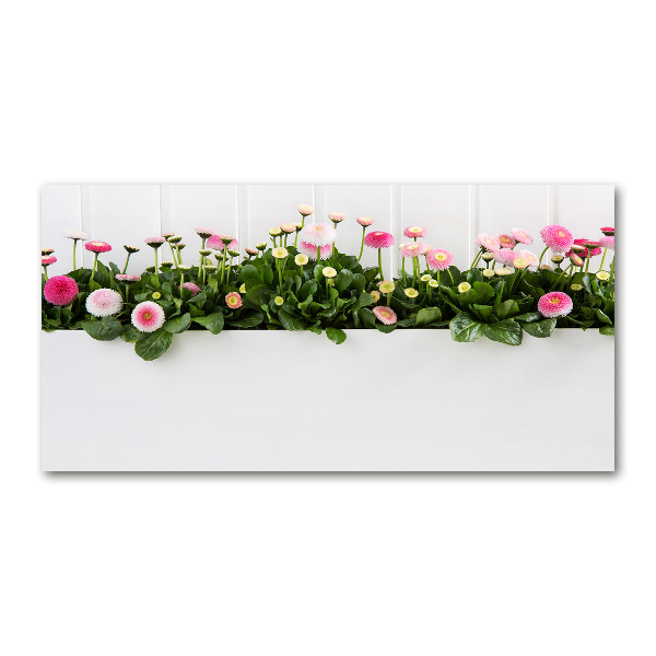 Cuadro decorativo de vidrio para salón horizontal margaritas rosas
