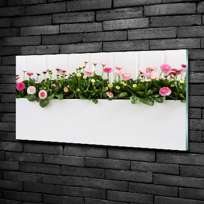 Cuadro decorativo de vidrio para salón horizontal margaritas rosas