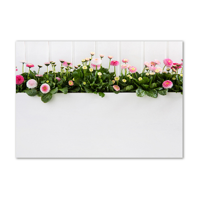 Cuadro decorativo de vidrio para salón horizontal margaritas rosas