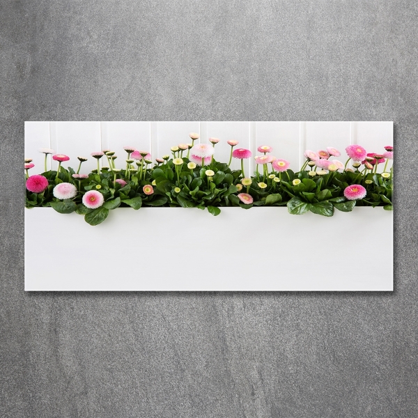Cuadro decorativo de vidrio para salón horizontal margaritas rosas