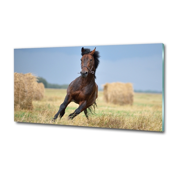 Cuadro decorativo de vidrio para salón horizontal Un caballo al galope