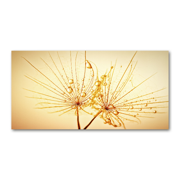 Cuadro decorativo de vidrio para salón horizontal semillas de diente de león