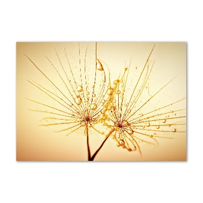 Cuadro decorativo de vidrio para salón horizontal semillas de diente de león