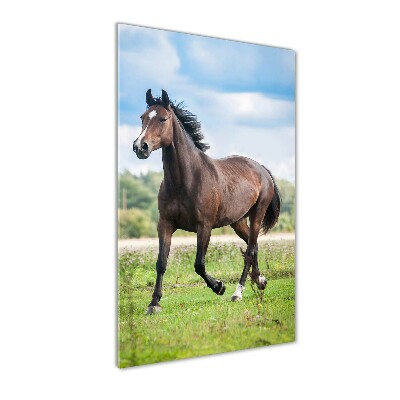 Cuadro de vidrio templado 4mm para pared vertical Un caballo en un campo