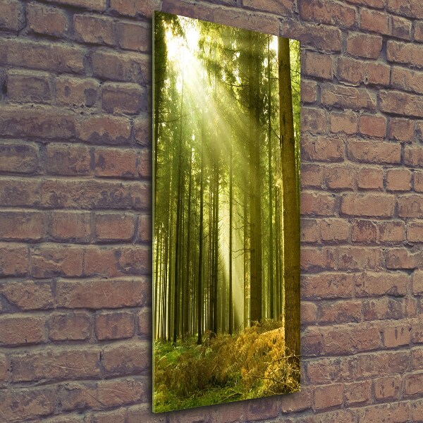 Fotocuadro de cristal elegante para hogar vertical El sol en el bosque