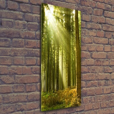 Fotocuadro de cristal elegante para hogar vertical El sol en el bosque