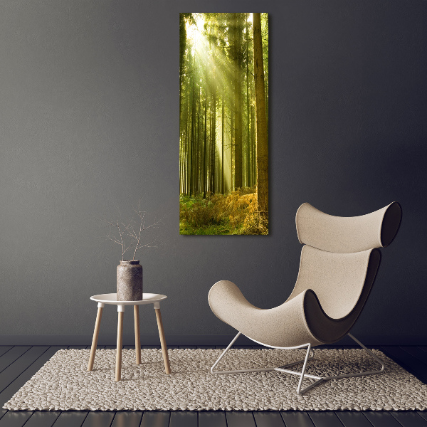 Fotocuadro de cristal elegante para hogar vertical El sol en el bosque