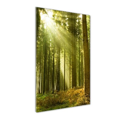 Fotocuadro de cristal elegante para hogar vertical El sol en el bosque