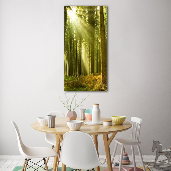 Fotocuadro de cristal elegante para hogar vertical El sol en el bosque