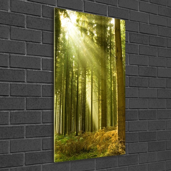 Fotocuadro de cristal elegante para hogar vertical El sol en el bosque
