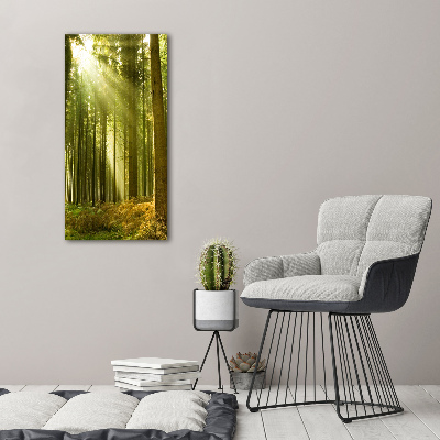 Fotocuadro de cristal elegante para hogar vertical El sol en el bosque