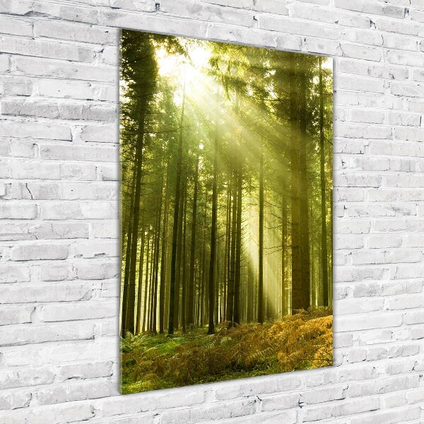 Fotocuadro de cristal elegante para hogar vertical El sol en el bosque