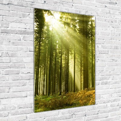 Fotocuadro de cristal elegante para hogar vertical El sol en el bosque
