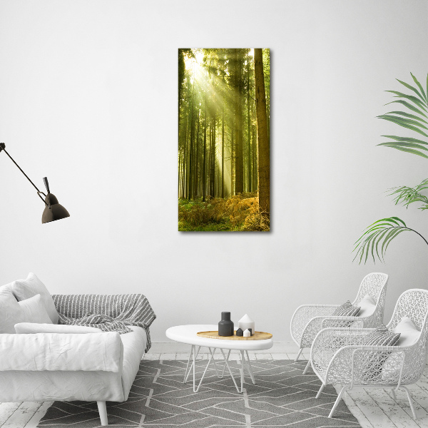 Fotocuadro de cristal elegante para hogar vertical El sol en el bosque