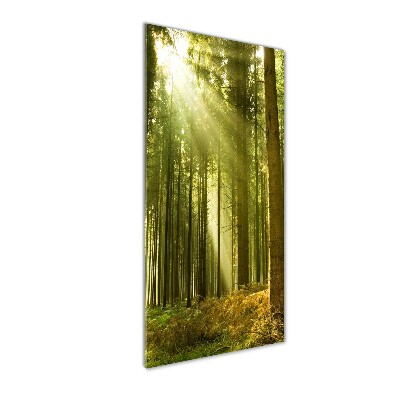 Fotocuadro de cristal elegante para hogar vertical El sol en el bosque