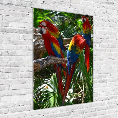 Cuadro de cristal moderno efecto brillo vertical Loros guacamayos