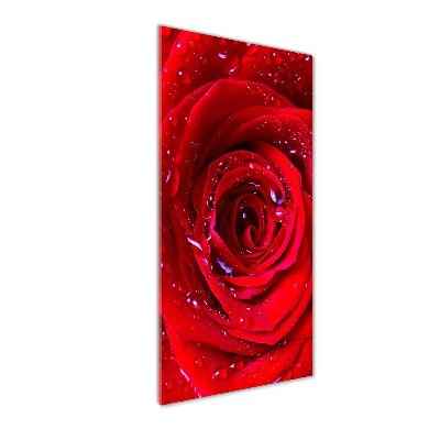 Cuadro de cristal moderno efecto brillo vertical Rosa roja