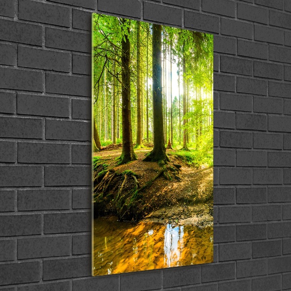 Cuadro decorativo en cristal con canto pulido vertical El sol en el bosque