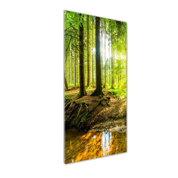 Cuadro decorativo en cristal con canto pulido vertical El sol en el bosque