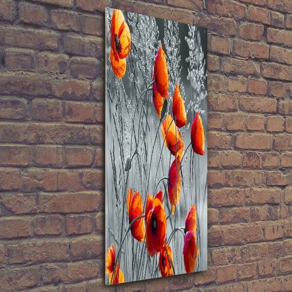 Cuadro de vidrio templado 4mm para pared vertical Amapolas de campo