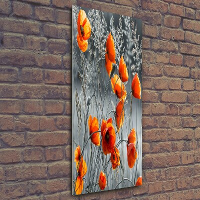 Fotocuadro de cristal elegante para hogar vertical Amapolas de campo