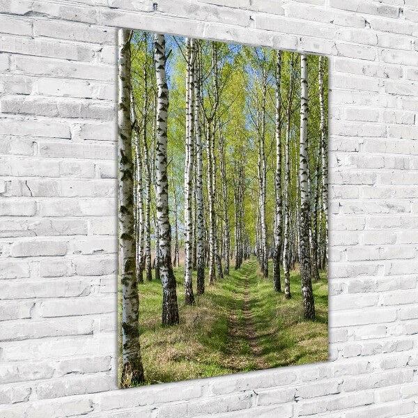 Cuadro de cristal moderno efecto brillo vertical bosque de abedules