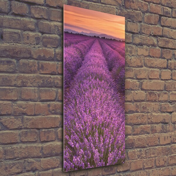 Cuadro decorativo en cristal con canto pulido vertical campo de lavanda