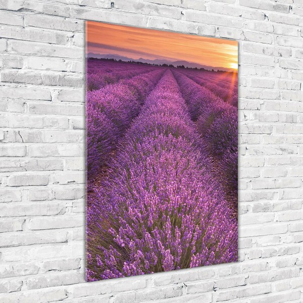 Cuadro decorativo en cristal con canto pulido vertical campo de lavanda