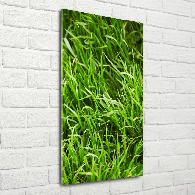 Cuadro de vidrio templado 4mm para pared vertical Césped