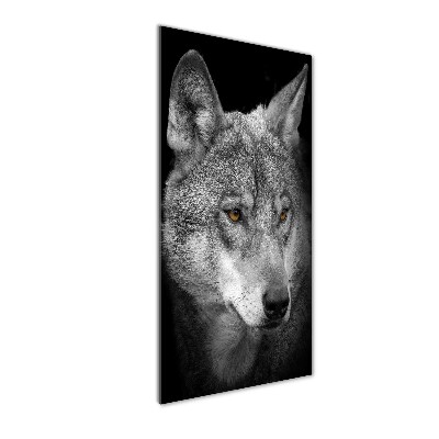 Cuadro de cristal moderno efecto brillo vertical Retrato de un lobo
