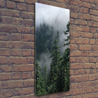 Fotocuadro de cristal elegante para hogar vertical Niebla sobre el bosque