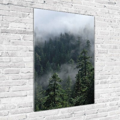Fotocuadro de cristal elegante para hogar vertical Niebla sobre el bosque