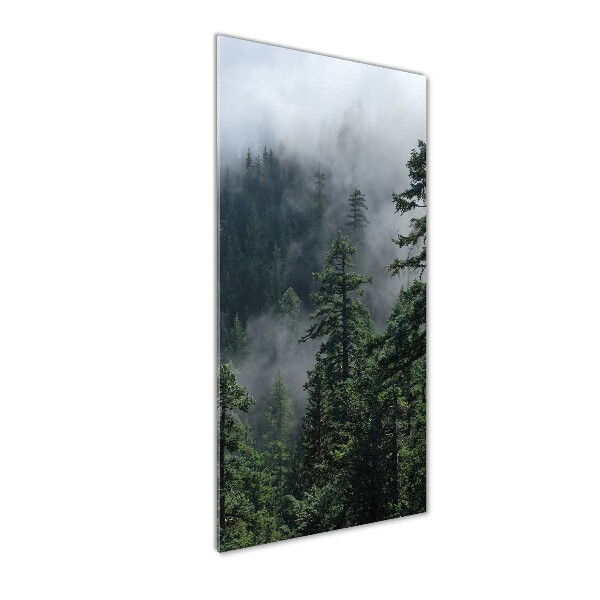 Fotocuadro de cristal elegante para hogar vertical Niebla sobre el bosque