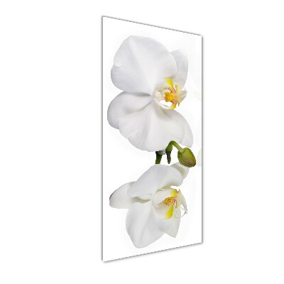 Cuadro de cristal moderno efecto brillo vertical Orquídea blanca