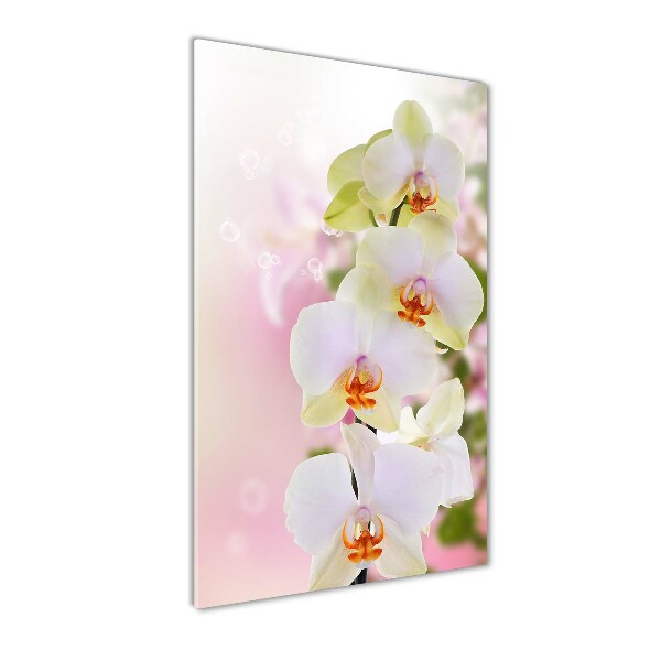 Cuadro decorativo en cristal con canto pulido vertical Orquídea blanca