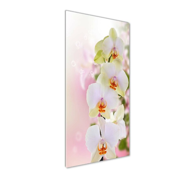 Cuadro decorativo en cristal con canto pulido vertical Orquídea blanca